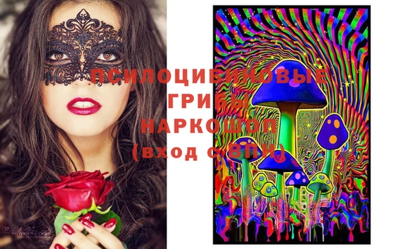 стафф Верхний Тагил