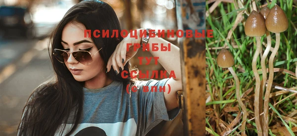 стафф Верхний Тагил